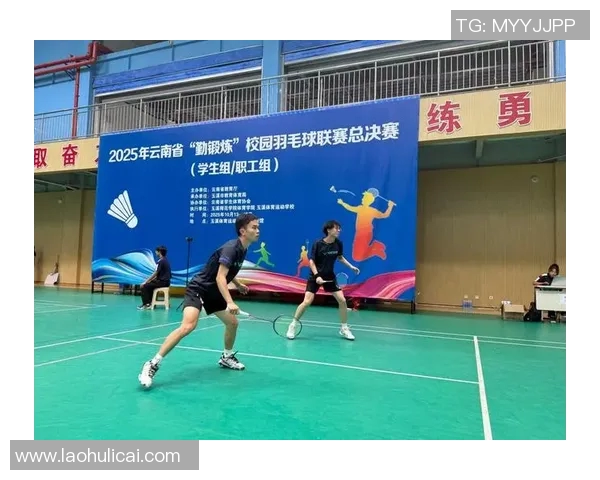 深入探讨北京羽毛球队力量表现的数据分析与趋势研究