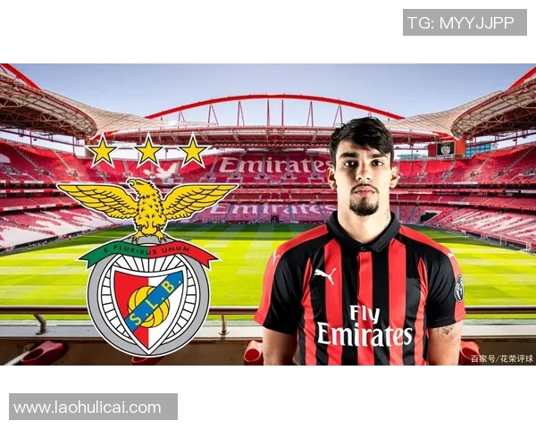 足球明星太太的学历揭秘她们背后的故事与成就